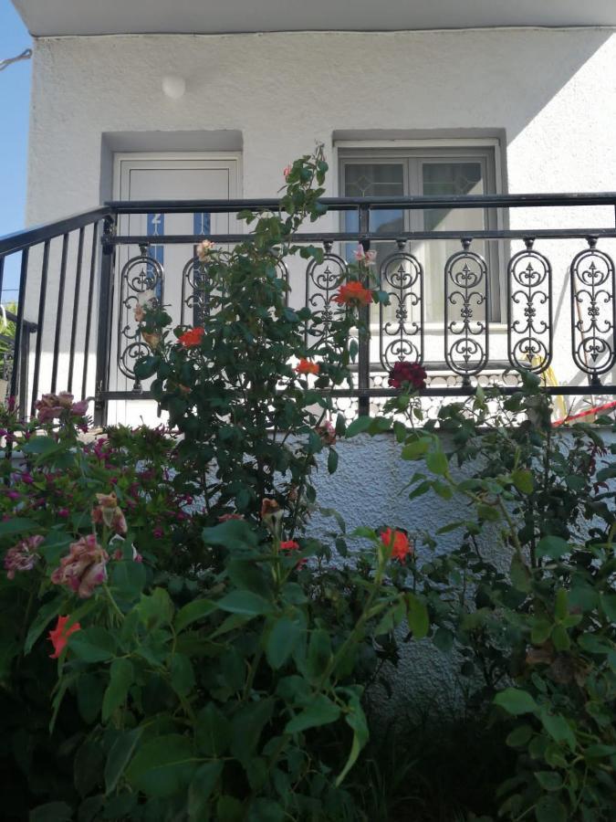Alexander Apartments Nea Koutali Kültér fotó